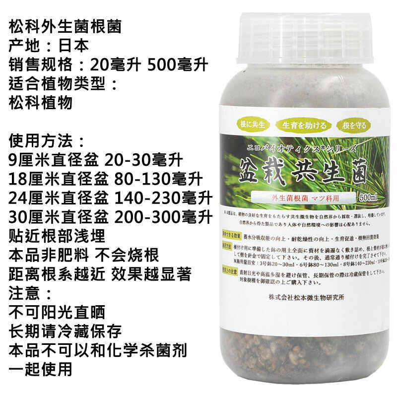 日本进口松树盆景盆栽外生菌根菌共生菌黑松红松五叶松五针松杜松,淘宝优惠券,粉丝福利购,淘宝优惠卷