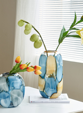 bixuan 网红透明彩色涂鸦花瓶摆件高颜值水培鲜花水样花器餐桌