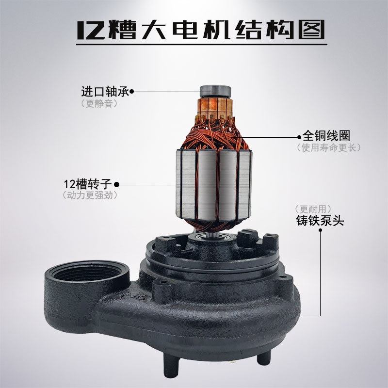 丰远直流12V48V60V72V污水泥浆泵电瓶车抽水农用灌溉高扬程1寸款 - 图1