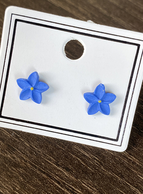 【遇见美好】森系蓝色小花耳钉