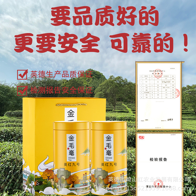 广东英德红茶英红九号金毛毫 浓香型明前春茶大促茶叶礼盒装