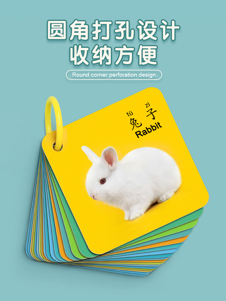 动物卡片早教启蒙书幼儿闪益智玩具 星星舟玩具挂图/认知卡