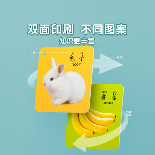 动物卡片认知早教儿童识字看图识物启蒙书婴幼儿宝宝一岁益智玩具
