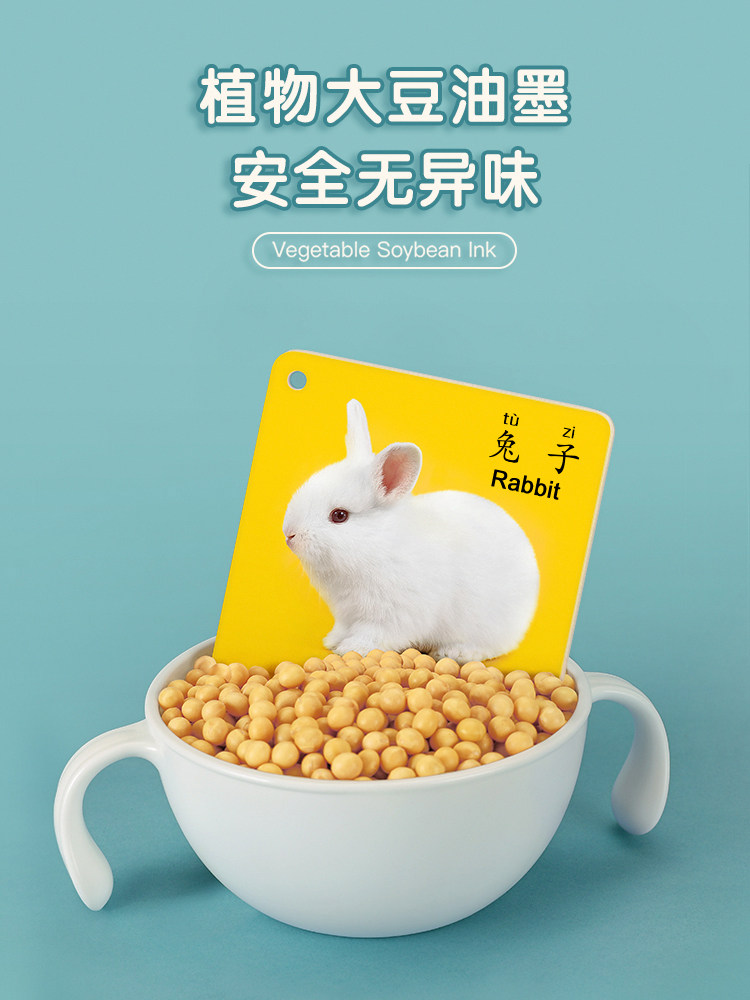 动物卡片早教启蒙书幼儿闪益智玩具 星星舟玩具挂图/认知卡