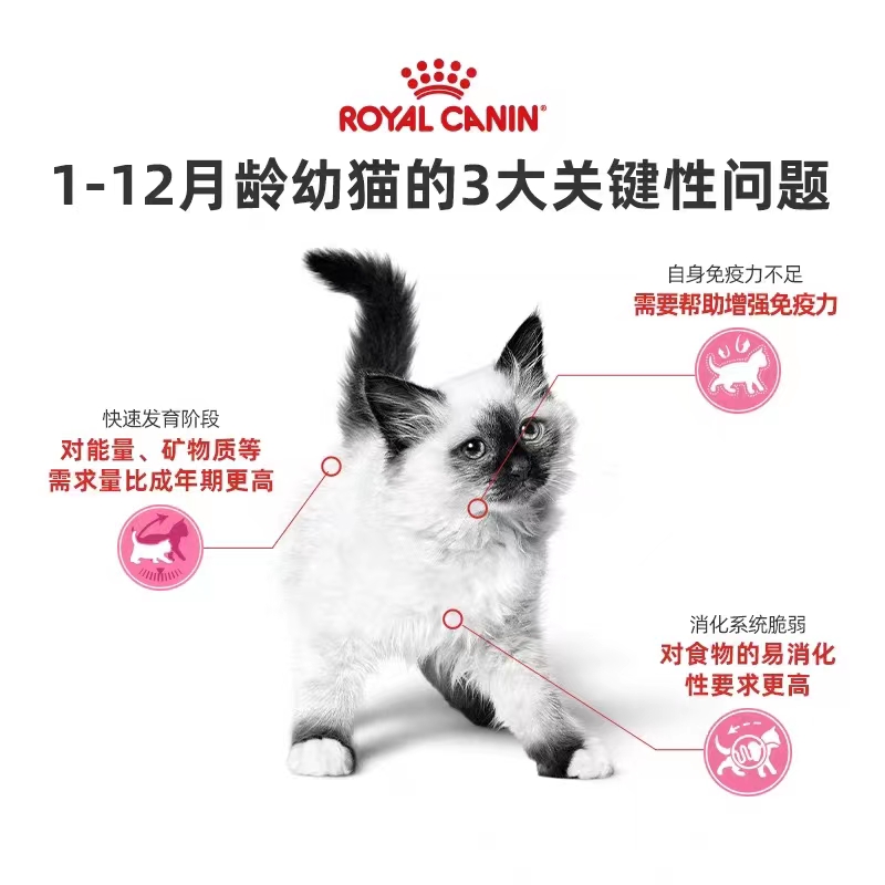 皇家进口幼猫奶糕猫罐头离乳孕期全价主食慕斯湿粮零食24罐整箱 - 图2