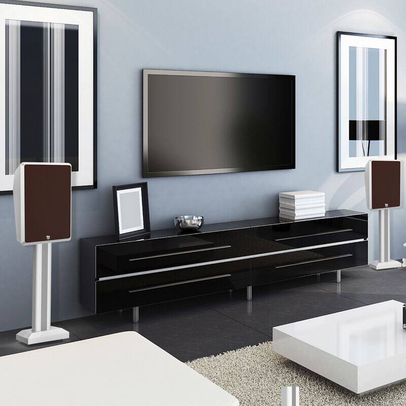 fross /沸斯s5家庭ktv套装话筒 沸斯KTV/卡拉OK音箱