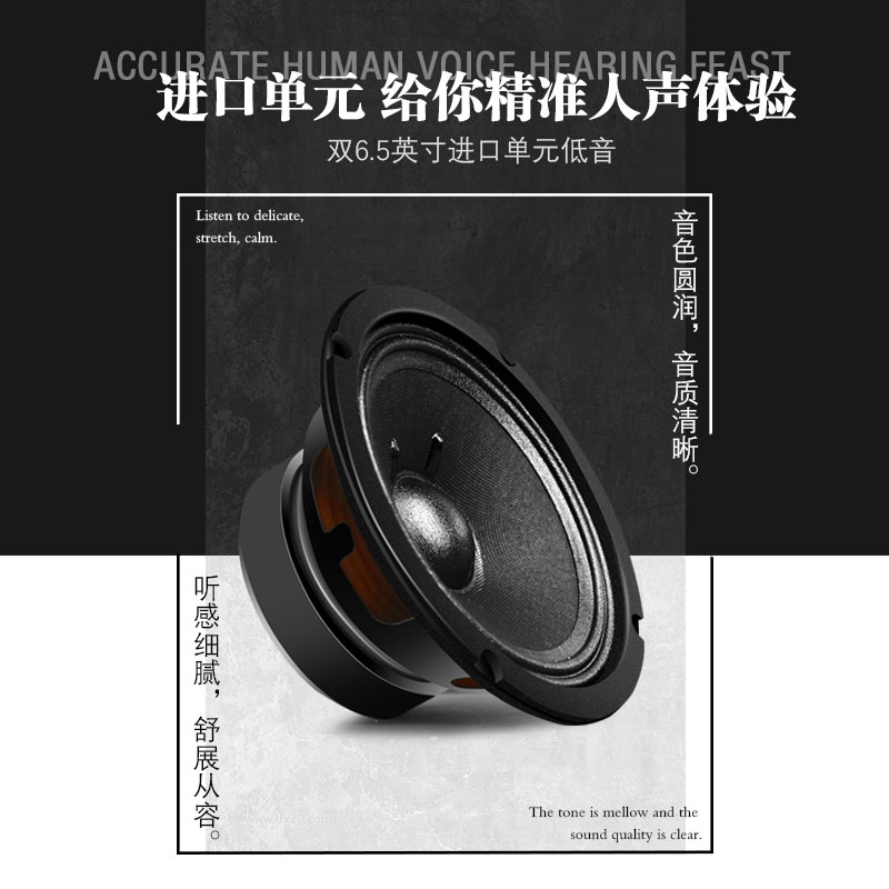 Feisi c-26 full-range hifiKTV audio