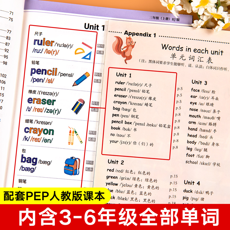 小学生你得这样背单词人教版 记背神器词汇卡片汇总表三四五六年级小学自然拼读记忆本默写必音标语法大全英语书外研一三年级起点
