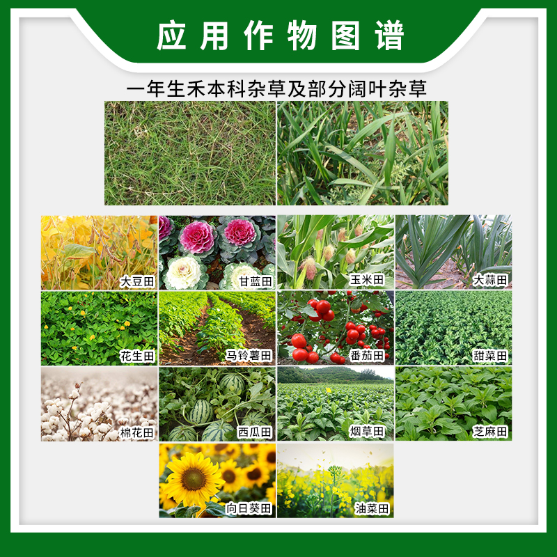 先正达金都尔精异丙甲草胺禾本科杂草部分阔叶杂草农药除草剂 - 图2