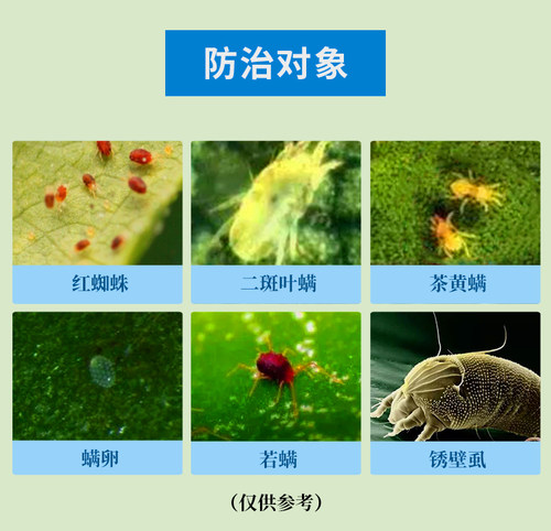 45%联肼乙螨唑红蜘蛛专用杀螨剂高效农药蔬菜草莓柑橘果树杀虫药 - 图1