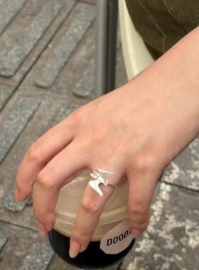 2026新款食指戒指文艺女款戒指