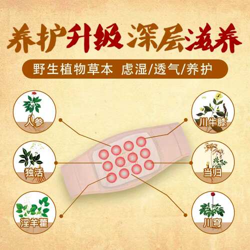 505神功护腰升级版腰部转侧不利不适草本护腰带男女四季可用舒适 - 图0