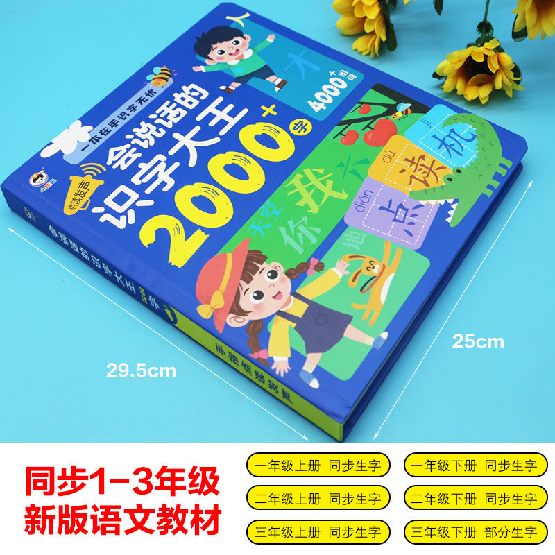 会说话的识字大王2000字+4000组词小儒童手指点读发声大中班宝宝儿童幼小衔接认字早教益智启蒙可usb充电版教材同步1-3年级语文