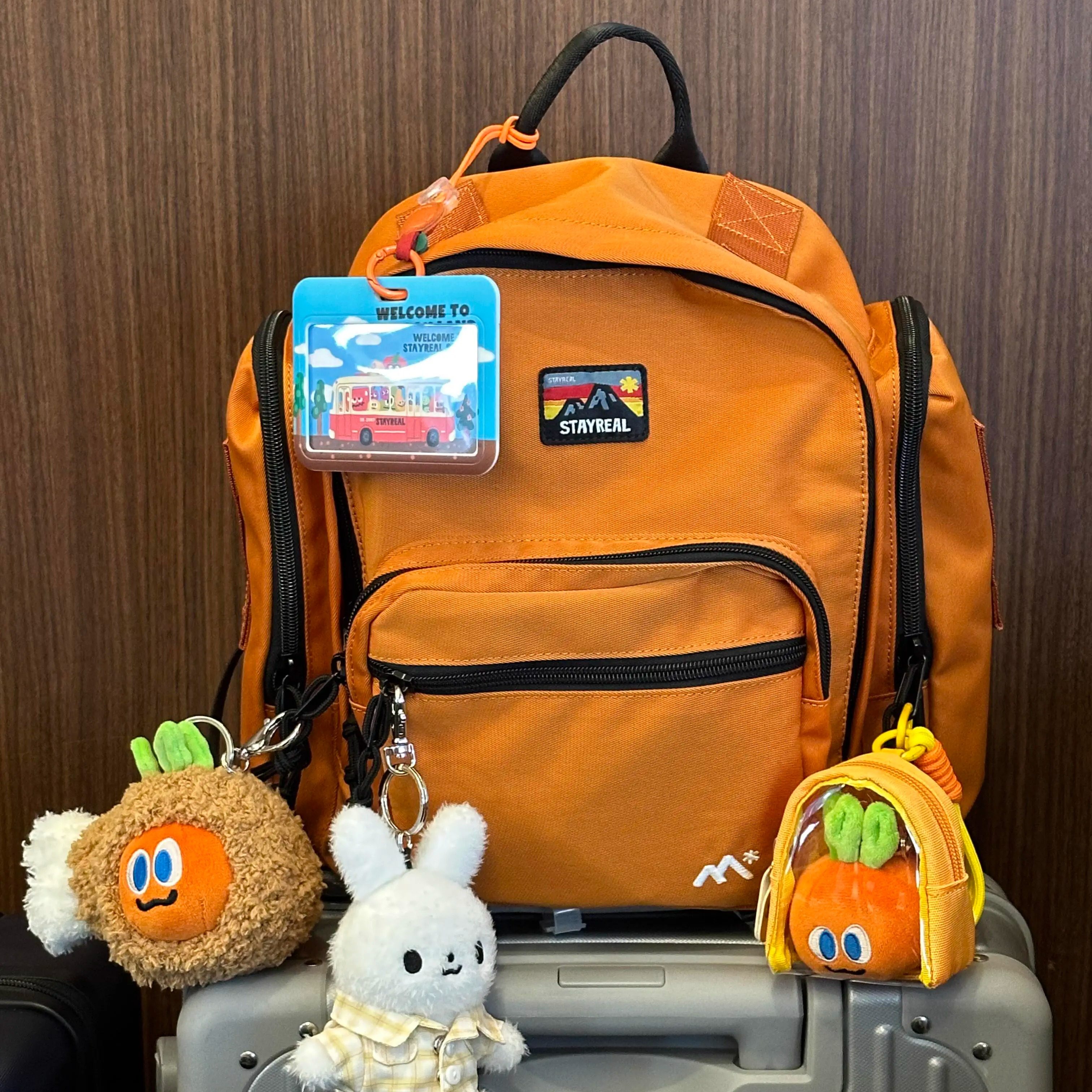 STAYREAL STAY WILD大容量防水双肩包男女休闲胡萝卜学生电脑背包,淘宝优惠券,粉丝福利购,淘宝优惠卷