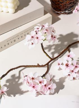 日式侘寂禅风梨花野樱花仿真花家居软装饰品陶瓷花瓶插花客厅摆件