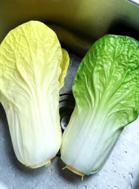 仿真假水果蔬菜大白菜娃娃菜装饰模型摆放道具儿童过家家早教玩具