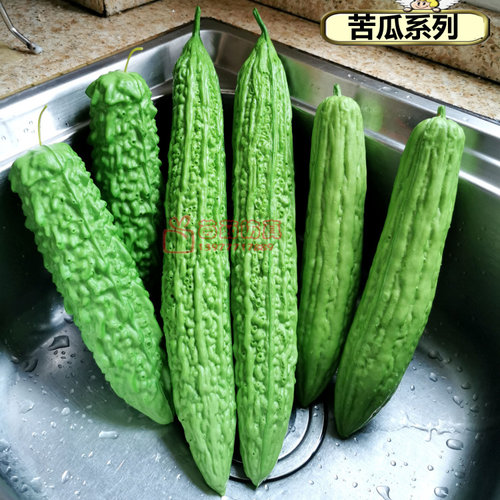 仿真水果蔬菜摆件客厅装饰模型假生菜西兰花包菜橱柜家居展示道具 - 图1