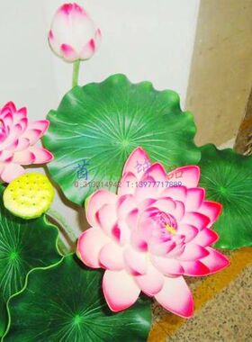 特卖高仿真EVA8叉大叶子组合莲花荷花 水面装饰装饰浮萍