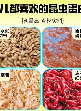 钓鱼王吃鱼二代冻干红虫