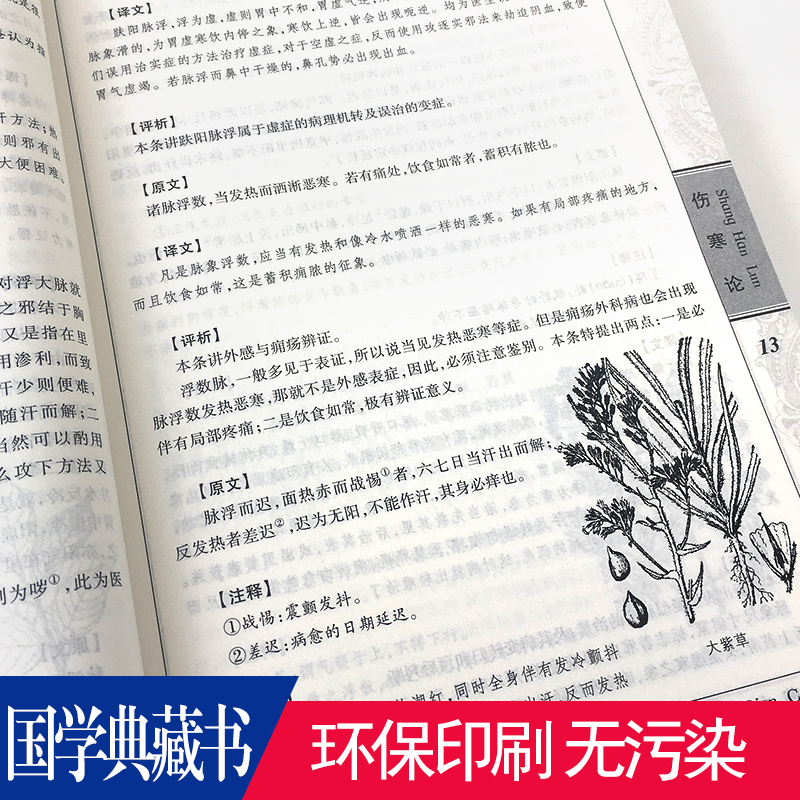 【任选4本32元】伤寒论正版张仲景原著图文译释古本临床应用理论与实践原文伤寒杂病论白话全解古代医学经典著作书籍国学典藏-图2