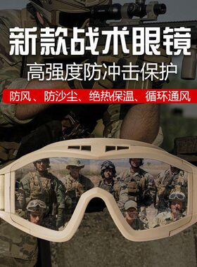 户外沙漠蝗虫战术眼镜CS