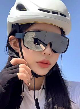 大框户外骑行眼镜登山滑雪墨镜