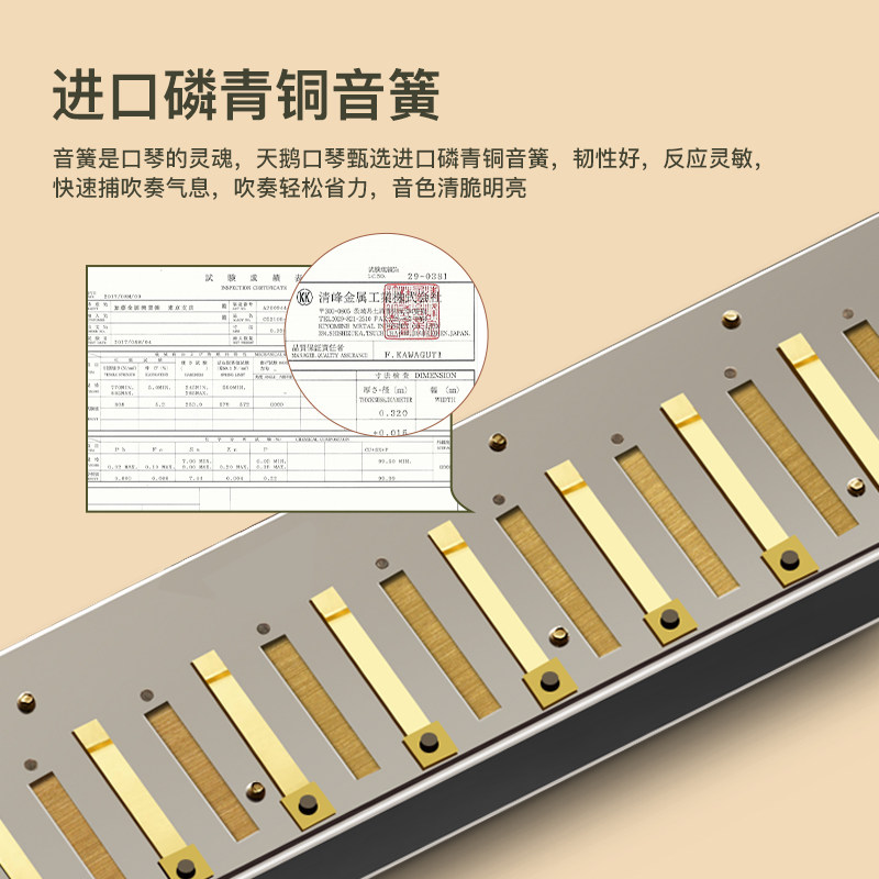 天鹅初学者入门小学生24孔28口琴 天鹅口琴