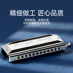 天鹅半音阶口琴12孔16孔c调十二初学者入门专业演奏级官方旗舰店