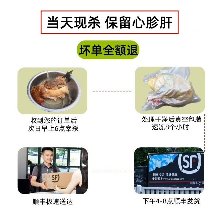 2只农家散养2年老乌骨鸡正宗土鸡老母鸡纯粮食喂养乌鸡五黑走地鸡 - 图3