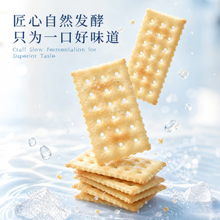 泓一海盐苏打低糖饼干720g