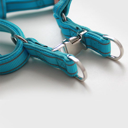 Sturdy dog walking harness + leash with full metal accessories