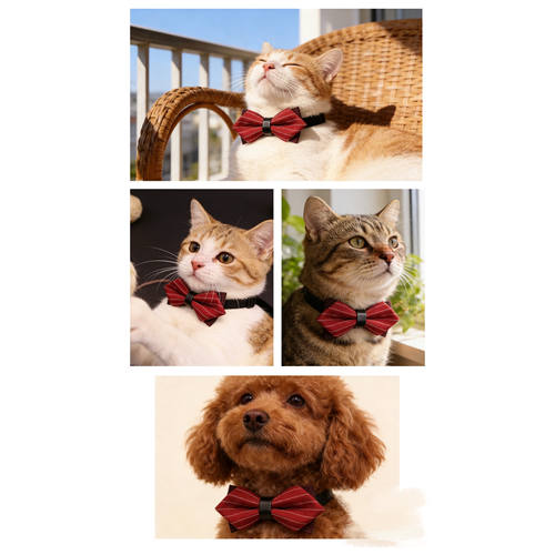 手工宠物猫狗英伦风复古绅士领结身份牌铃铛蝴蝶结项圈猫狗狗饰品 - 图1