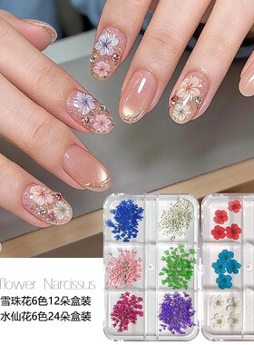 6色满天星水仙美甲干花真花盒装