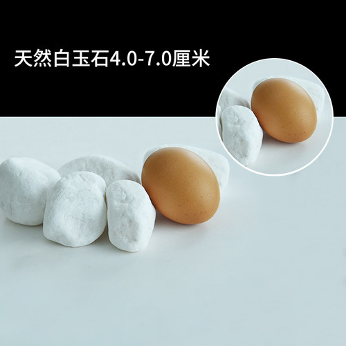 天然白石子小白玉石五彩石鹅卵石雨花石多肉石头铺面水培鱼缸铺院 - 图3