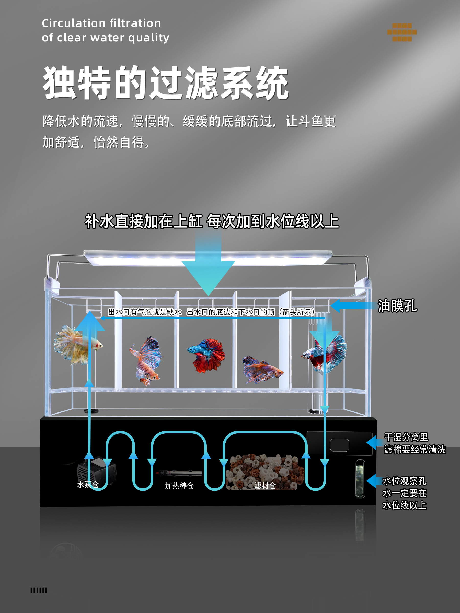 泰国斗鱼专用玻璃缸多格排缸底过滤整套组缸系统缸懒人鱼缸免换水-图2