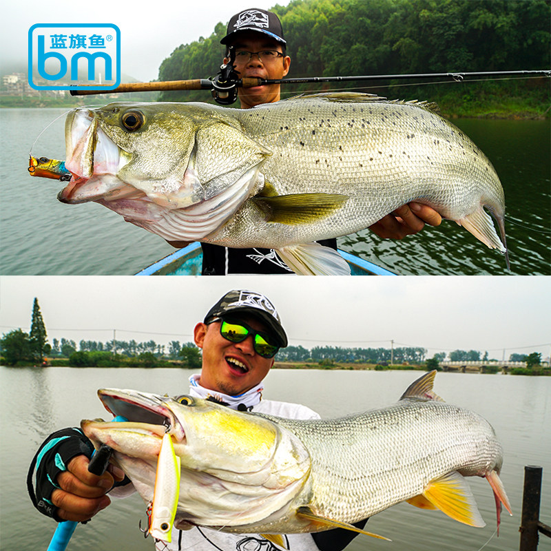 蓝旗鱼弹道波斩波爬路亚饵水面系波扒超远投翘嘴鳡鱼鲈鱼通杀假饵,淘宝优惠券,粉丝福利购,淘宝优惠卷