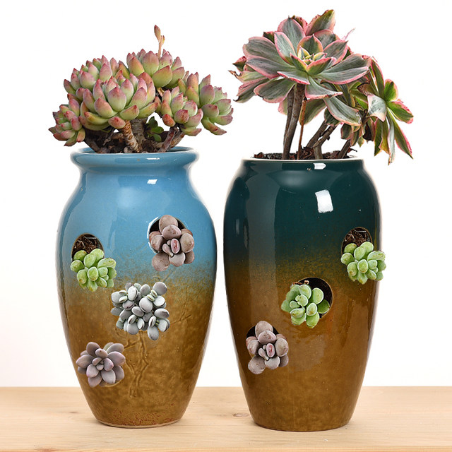 Ceramic succulent flowerpot