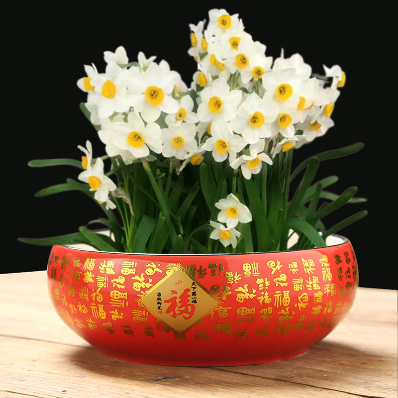 创意铜钱草绿萝水培花瓶陶瓷水仙花盆容器家用室内插花器水培器皿,淘宝优惠券,粉丝福利购,淘宝优惠卷