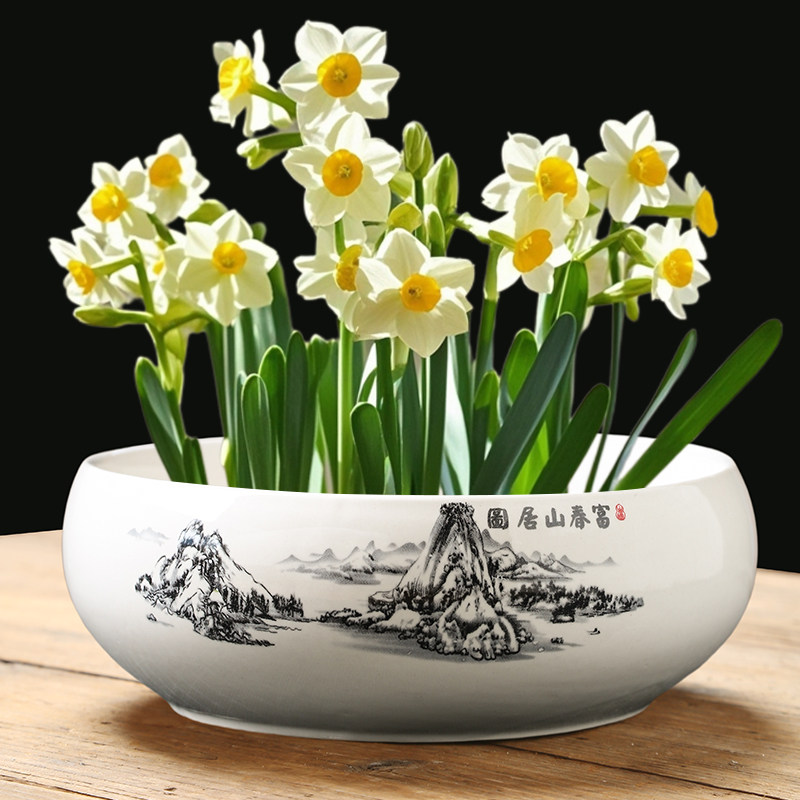 创意铜钱草绿萝水培花瓶陶瓷水仙花盆容器家用室内插花器水培器皿,淘宝优惠券,粉丝福利购,淘宝优惠卷