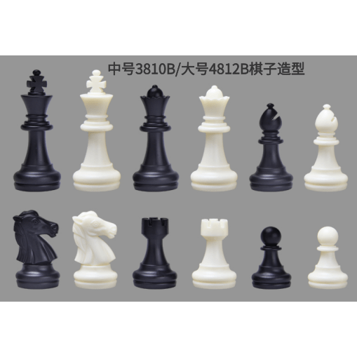 友邦国际象棋配子单独一个棋子套装一整套棋盘磁性磁力磁铁补子 - 图0