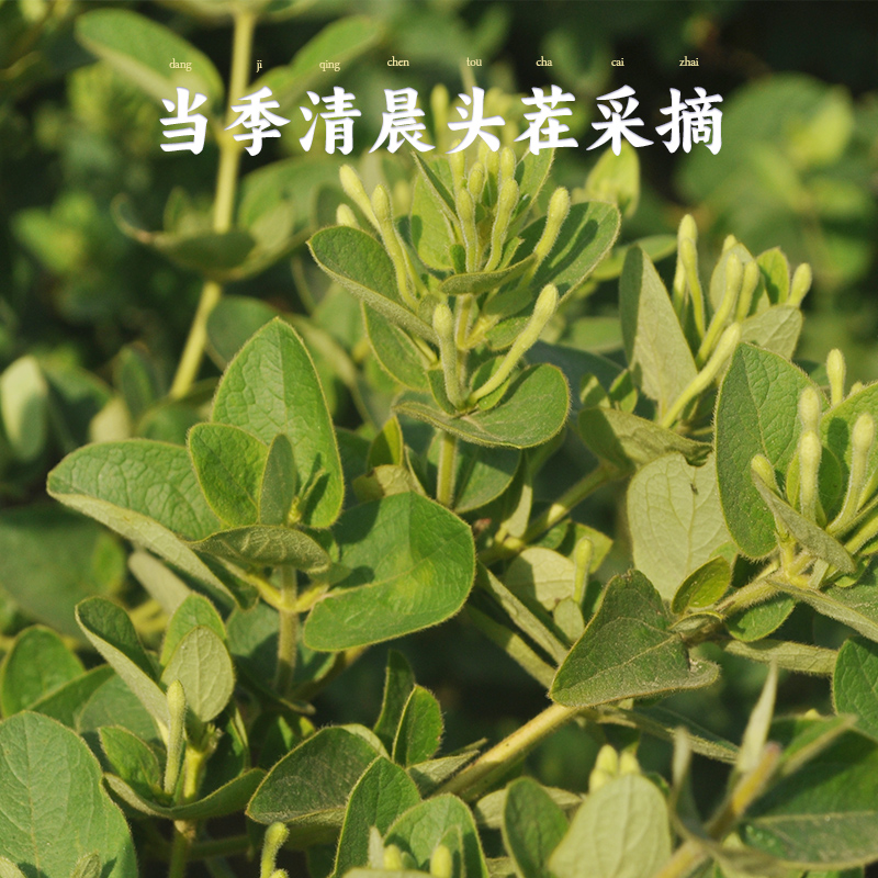 以美养生茶金银花干花特级茶叶泡水搭菊花枸杞茶包官方旗舰店