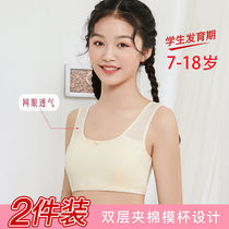 Pure cotton girl lingerie anti-bump clip cotton girl small vest hair raising period 5-15-year-old primary school student harnesses