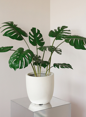 ladylike 北欧仿真绿植龟背竹小盆栽 室内客厅假植物装饰假花摆设