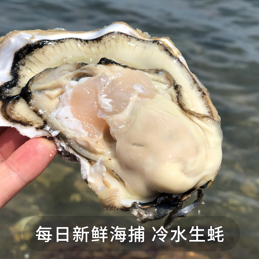 无双不二半岛小肥蚝生蚝乳山正宗鲜活牡蛎海蛎子特大蚝肉海鲜水产,淘宝优惠券,粉丝福利购,淘宝优惠卷