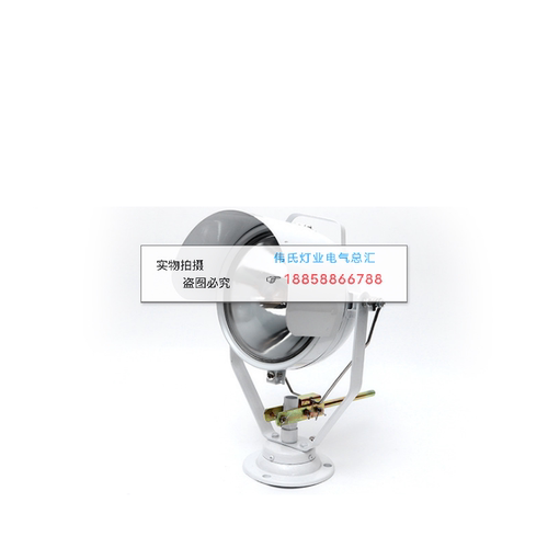 船用投光灯海星TG8 搜索灯792028 12V24V200W救生筏应急灯792029 - 图1