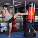 Boxing punching bag Sanda vertical home adult fitness