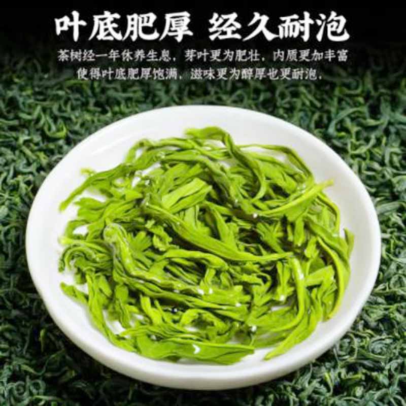 新茶2024年绿茶狗牯脑茶叶江西遂川特级浓香耐泡春茶高山云雾特产 - 图0