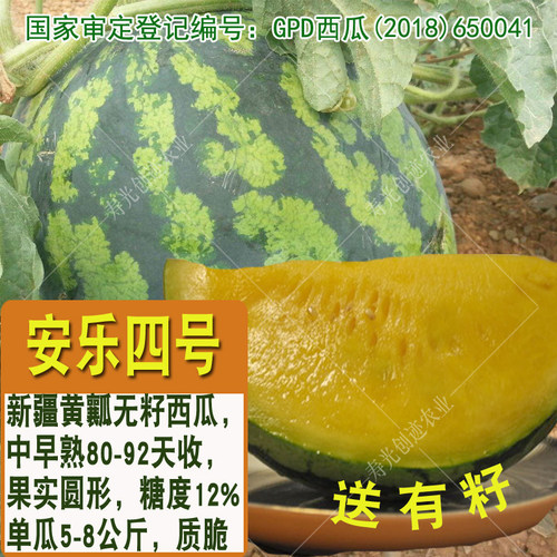 西瓜种子无籽西瓜种籽黑皮黄瓤特大巨型春夏季种植水果种孑早熟 - 图0
