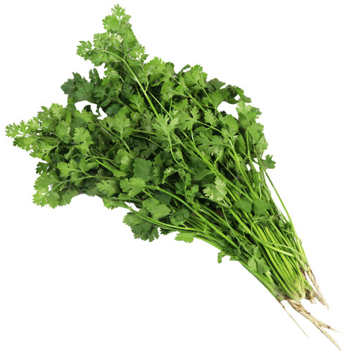 山东老香菜种籽大芫荽种小叶香菜种子四季阳台种菜室内盆栽香菜籽 - 图3
