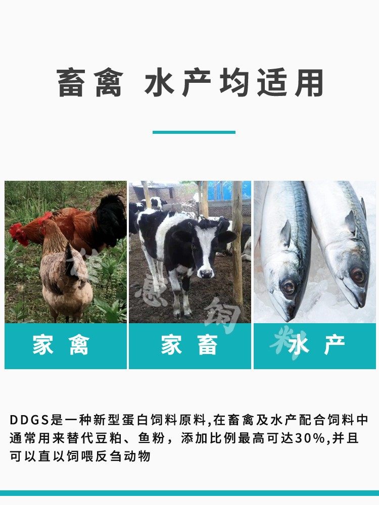 酒糟玉米干酒精糟酒香DDGS小黄面饲料原料窝料打窝鱼饵饵料包邮,淘宝优惠券,粉丝福利购,淘宝优惠卷